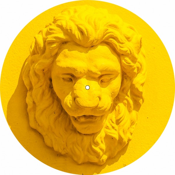 Slipmat Lion