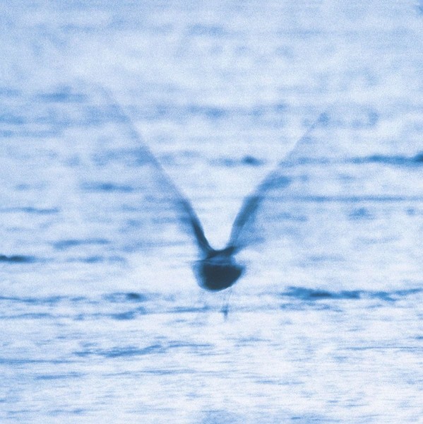 Ryo Fukui - Mellow Dream LP