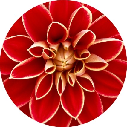 Slipmat Flower